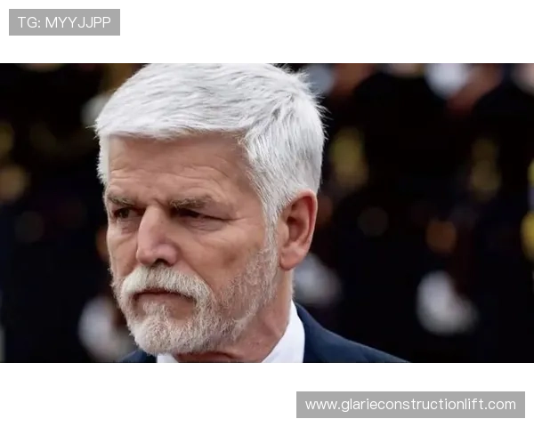 捷克帕维尔传奇生涯回顾：技术大师的国家队与俱乐部征程