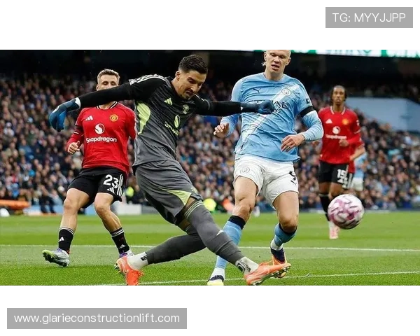 劳塔罗与哈兰德：全能前锋与顶级终结者的战术角色及效率对比